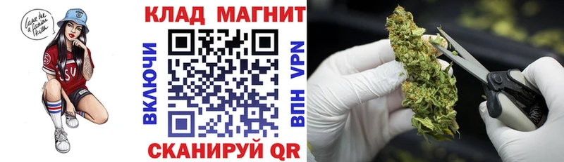 Где можно купить наркотики Елизаветинская Cocaine  Канабис  МЕФ  Гашиш 