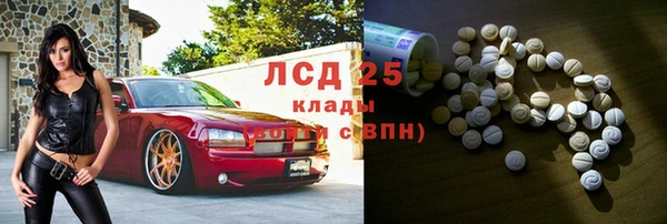 спиды Богданович