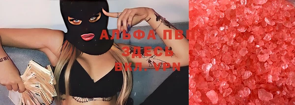 спиды Богданович
