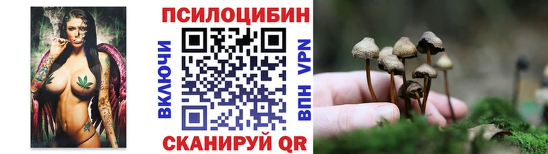 Псилоцибиновые грибы Psilocybine cubensis  Елизаветинская 